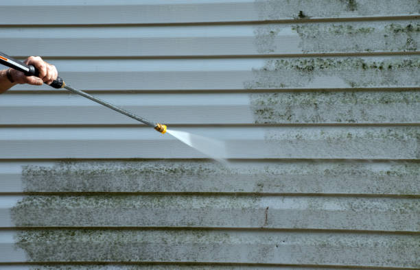 Best Professional Mold Removal  in Liberty, KY