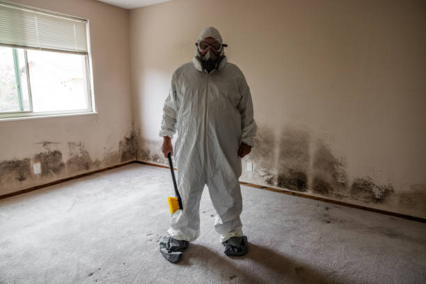 Best Residential Mold Removal  in Liberty, KY